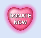 DONATE NOW